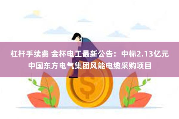 杠杆手续费 金杯电工最新公告：中标2.13亿元中国东方电气集团风能电缆采购项目