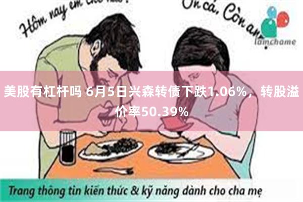 美股有杠杆吗 6月5日兴森转债下跌1.06%，转股溢价率50.39%