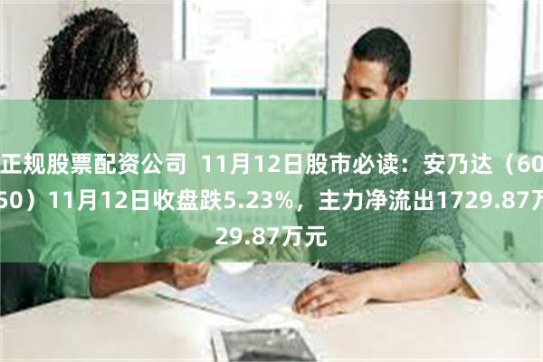 正规股票配资公司  11月12日股市必读：安乃达（603350）11月12日收盘跌5.23%，主力净流出1729.87万元