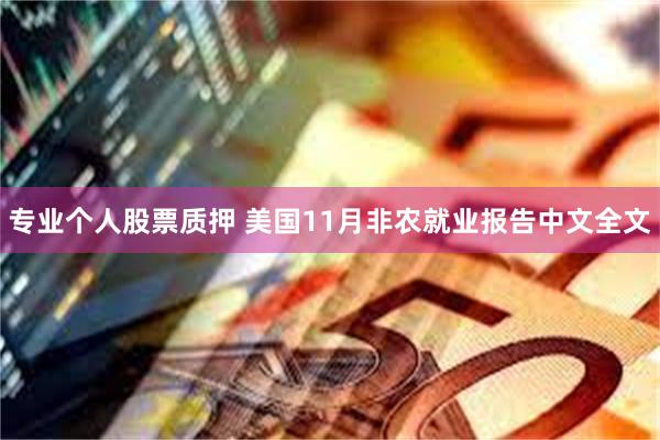 专业个人股票质押 美国11月非农就业报告中文全文