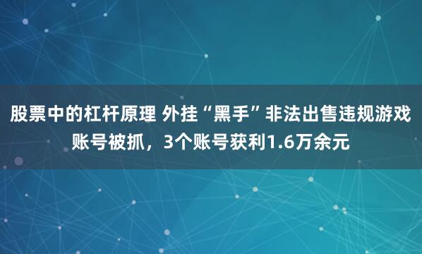 股票中的杠杆原理 外挂“黑手”非法出售违规游戏账号被抓，3个账号获利1.6万余元