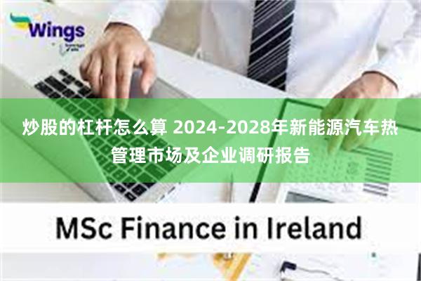 炒股的杠杆怎么算 2024-2028年新能源汽车热管理市场及企业调研报告