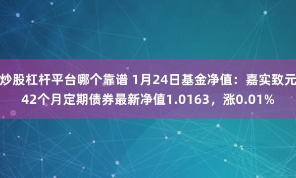 炒股杠杆平台哪个靠谱 1月24日基金净值：嘉实致元42个月定期债券最新净值1.0163，涨0.01%